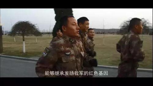 老兵爆料视频,震撼视频揭露战争背后真相